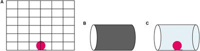 The Development of Motor Self-Regulation in Ravens